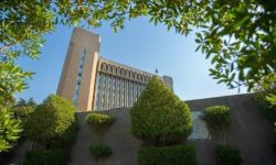 التربية: اعتماد درجة الفصل الأول ونصف السنة للسعي السنوي للطلبة العراقيين في إيران